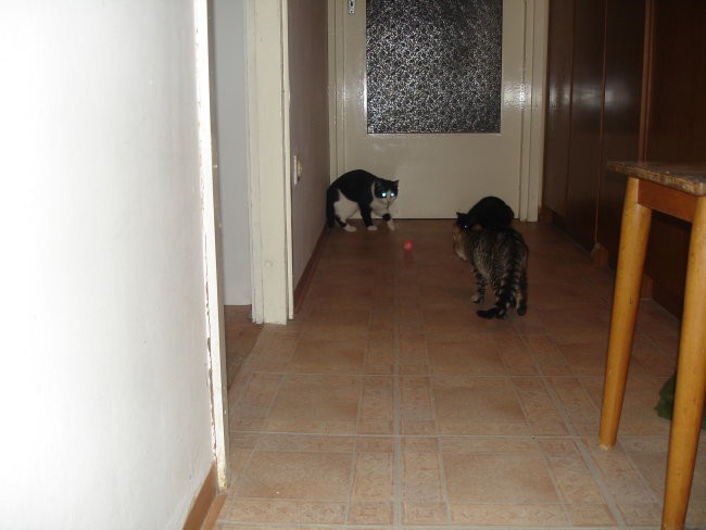 Nogometaši - foto povečava