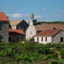 Crkva i vinograd u zajednci