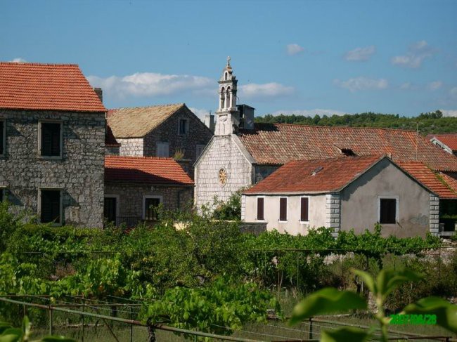 Crkva i vinograd u zajednci