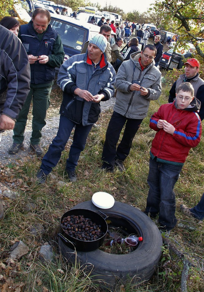 Savrini2008 - foto povečava