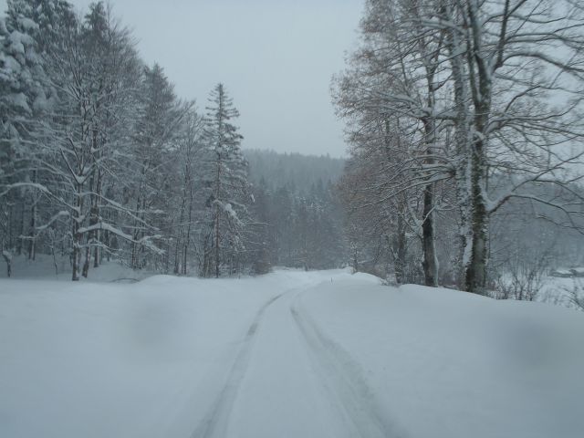 Zima 2013 - foto