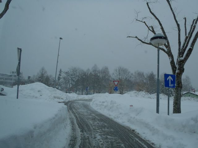 Zima 2013 - foto