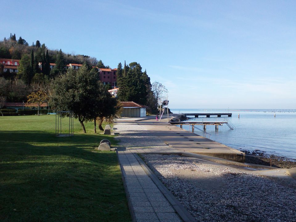 Vremščica, Slivnica, Obala DEC 2014 - foto povečava
