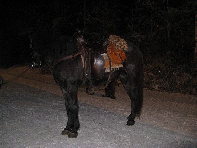 December 2007 - foto povečava