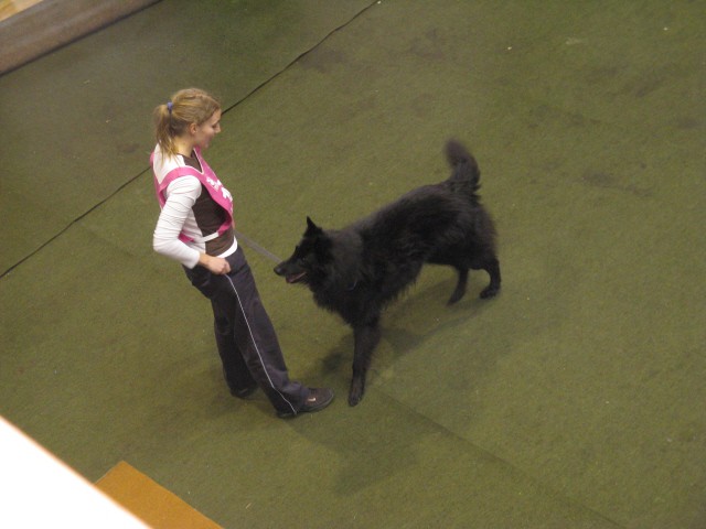 Božična agility tekma Postojna - 15.12.2007 - foto povečava