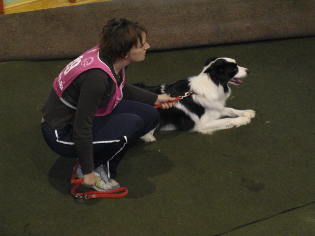 Božična agility tekma Postojna - 15.12.2007 - foto povečava