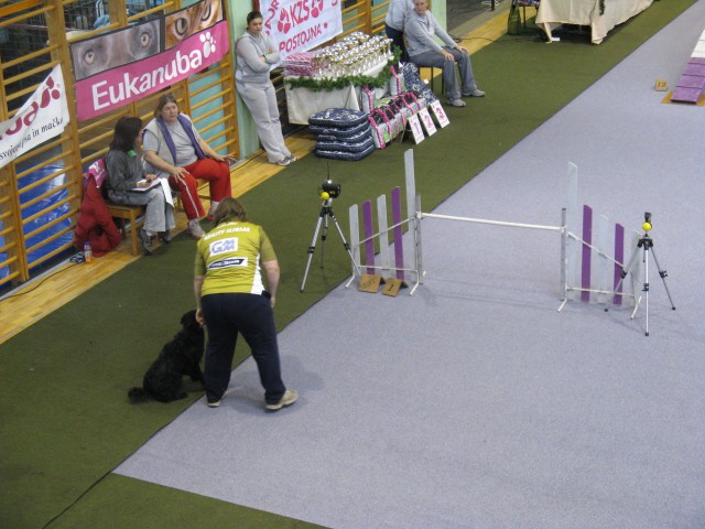 Božična agility tekma Postojna - 15.12.2007 - foto