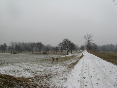 Januar 2008 - foto