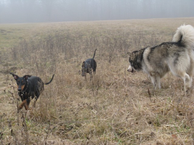 Nemška cesta - srečanje MT-jčkov  v družbi As - foto