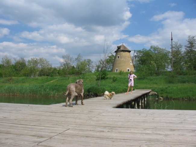 CAC Bačka Topola - foto povečava