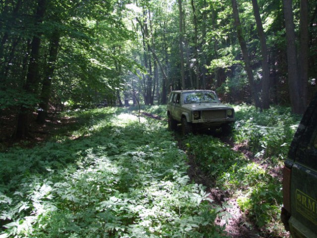 DRUŽENJE HRUŠEVEC KUPLJENSKI 31.05 - 01.06. 2 - foto