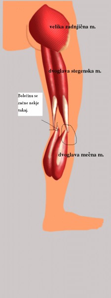 Noga - foto povečava