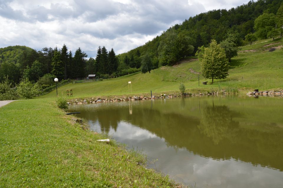 PIKNIK_2014 - foto povečava