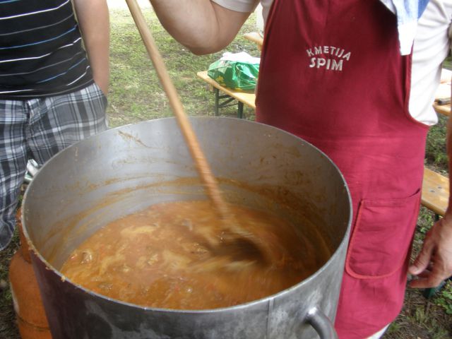 Ovčje-kozji bal borl 2009 - foto