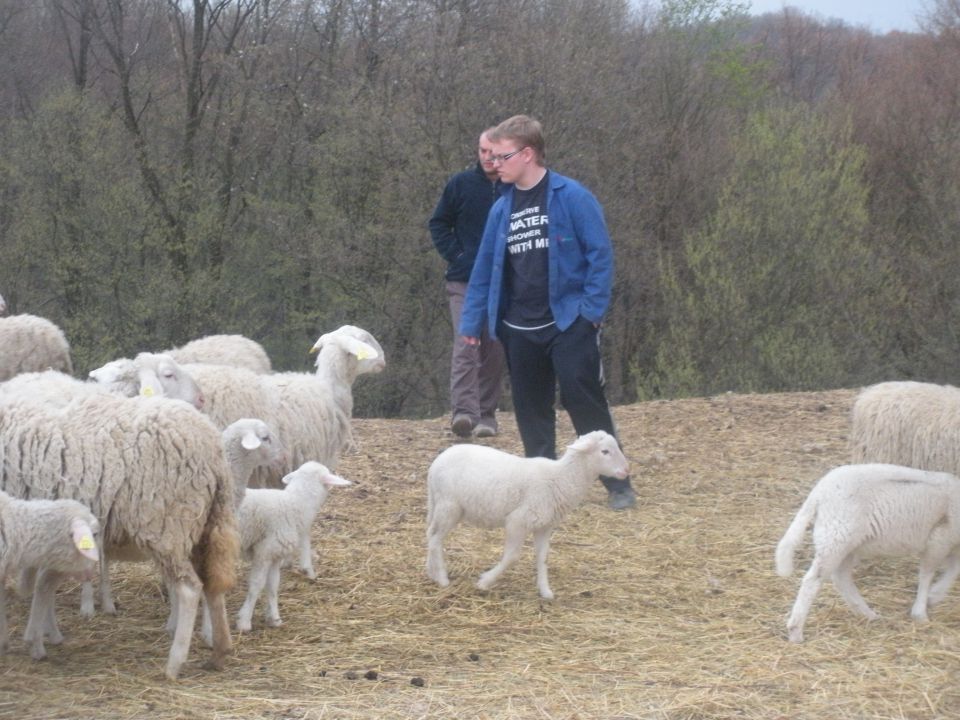 Pomlad 2011 - foto povečava