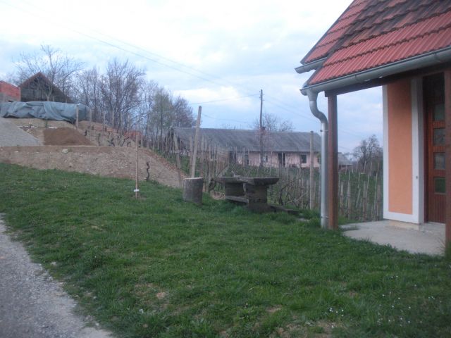 Pomlad 2011 - foto