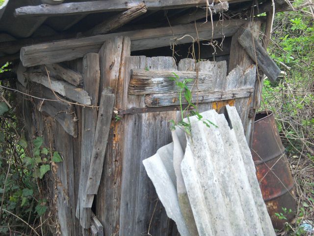 Čiščenje okolja in priprava novega pašnika - foto