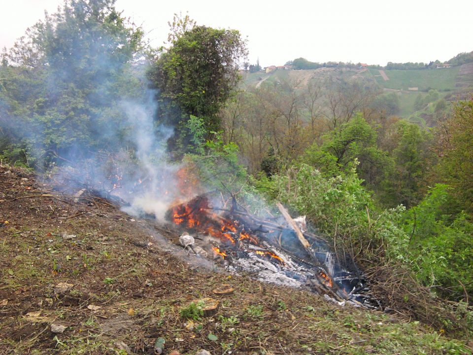 Čiščenje okolja in priprava novega pašnika - foto povečava