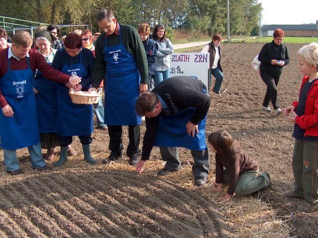 >> 2000  ZLATIH  ZRN ZA NASLEDNJE TISOČLETJE  - foto