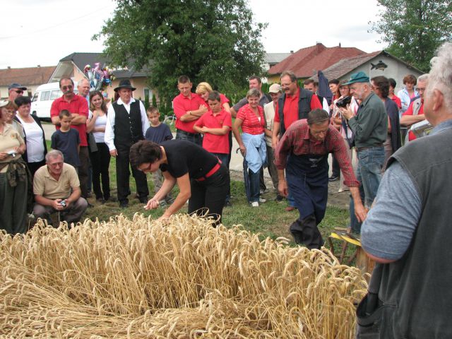 UTRINKI -ŽETEV 2000 ZLATIH ZRN - foto