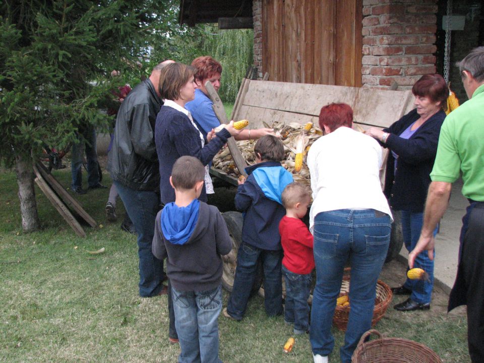 KOŽÜHAJE -TD CVEN 2012 - foto povečava