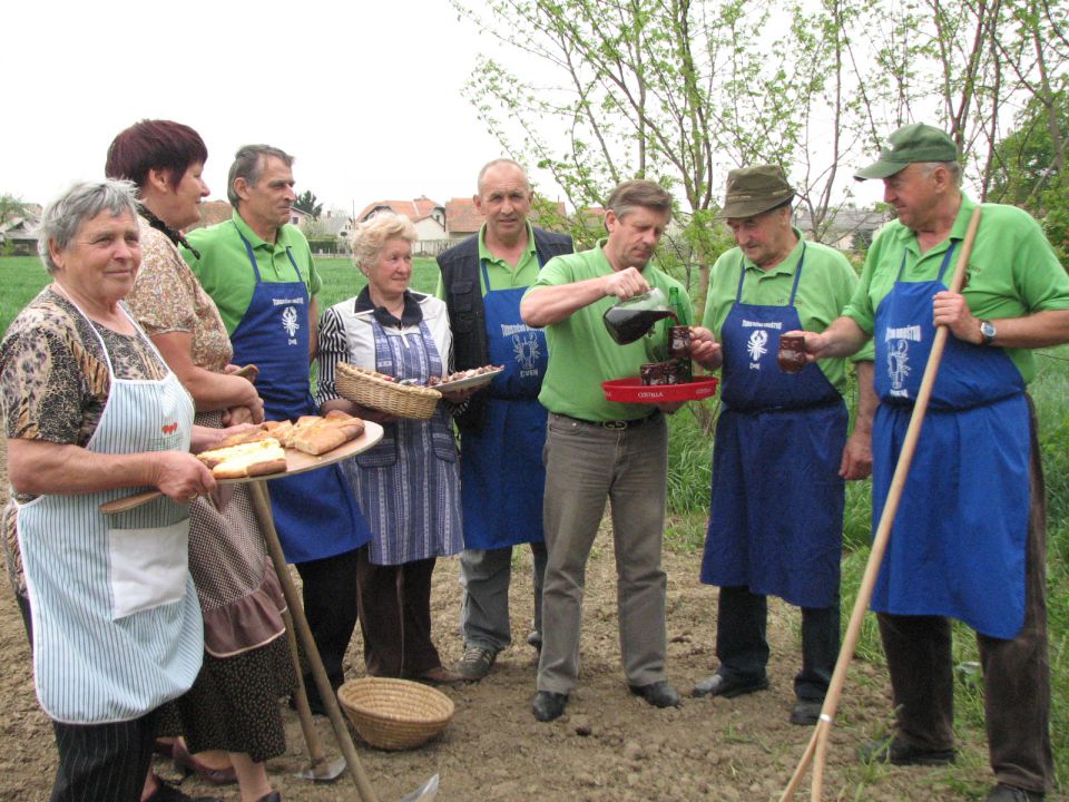 SETEV  KORUZE 2013 - foto povečava