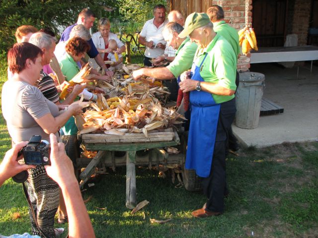 KOŽÜHAJE 2013 - foto