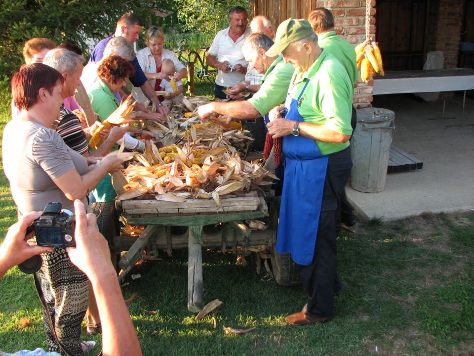 KOŽÜHAJE 2013 - foto povečava