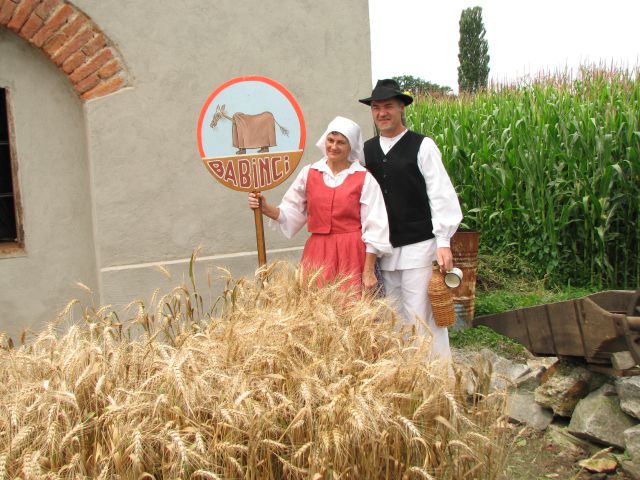 ŽETEV 2000 ZLATIH ZRN -BABINCI 2014 - foto