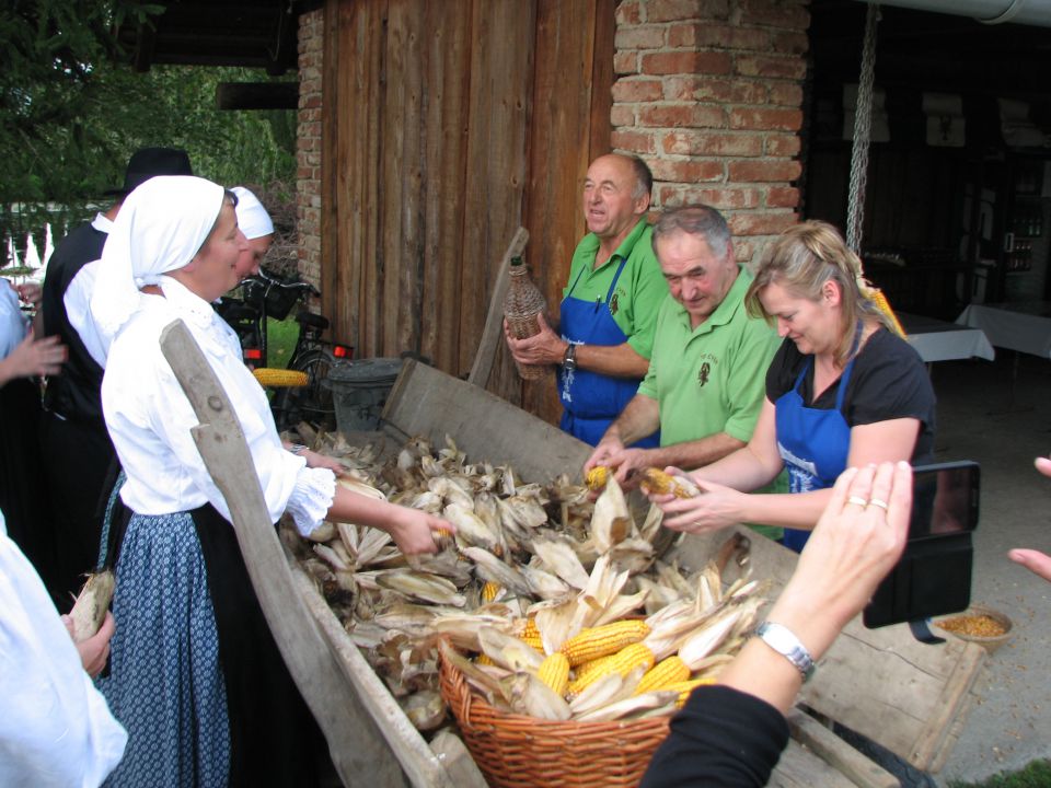 KOŽÜHAJE 2014 - foto povečava