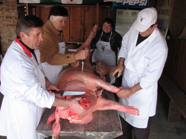 KOLINE2015 - foto
