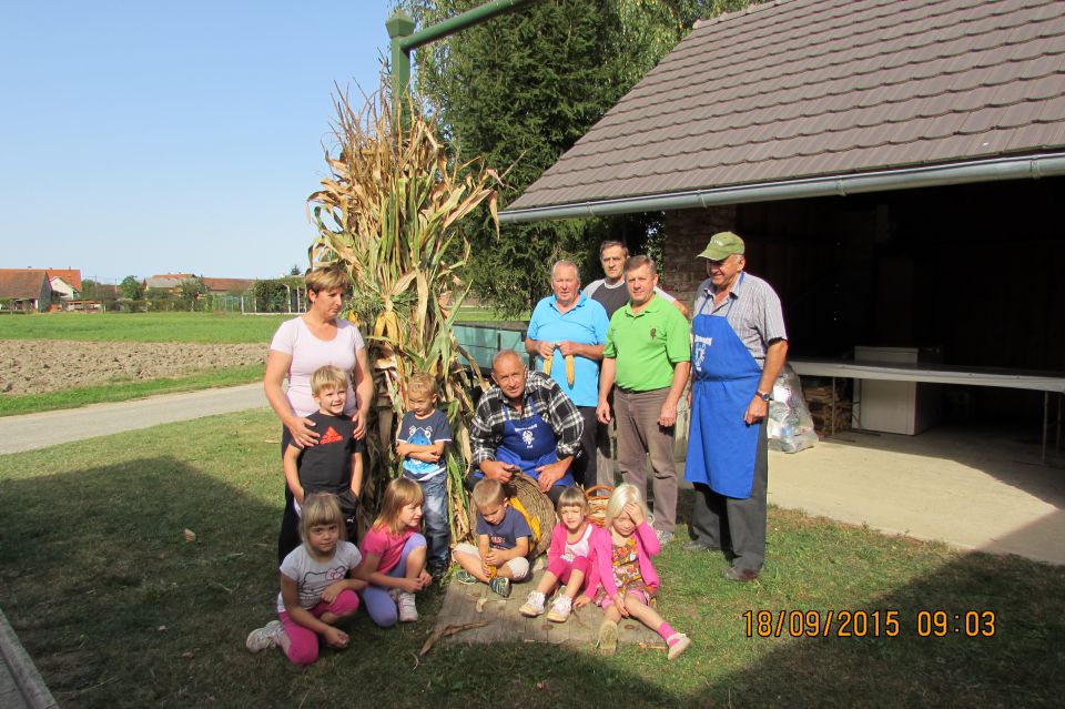 KOŽÜHAJE 2015 - foto povečava