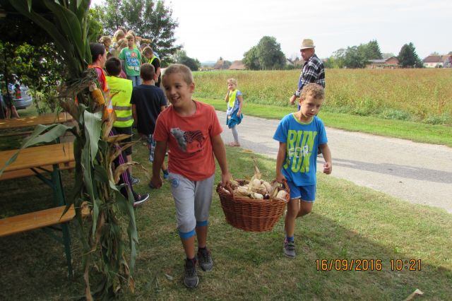 KOŽÜHAJE 2016 - foto