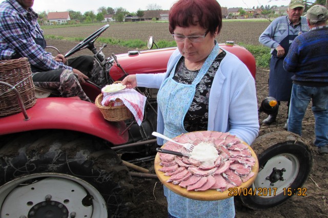 Setev koruze & postavitev majpuna 2017 - foto