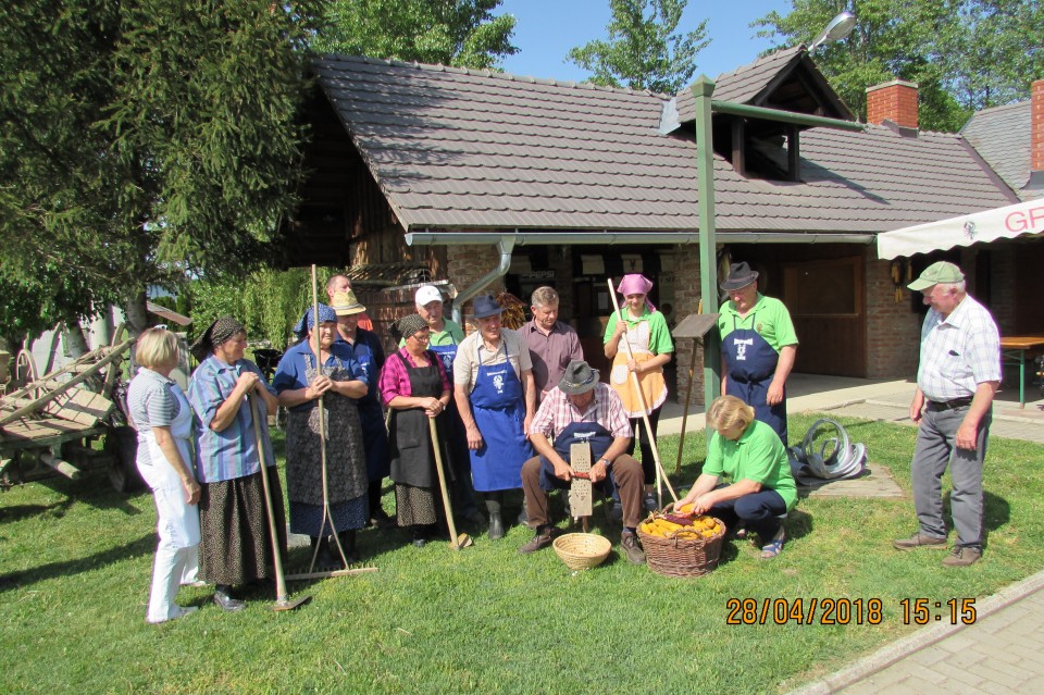 SETEV KORUZE -2018 - foto povečava