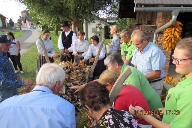 KOŽÜHAJE - 2018 - foto