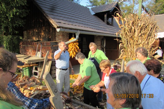 KOŽÜHAJE - 2018 - foto