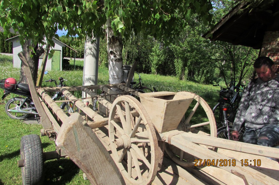 SETEV KORUZE 2019 - foto povečava