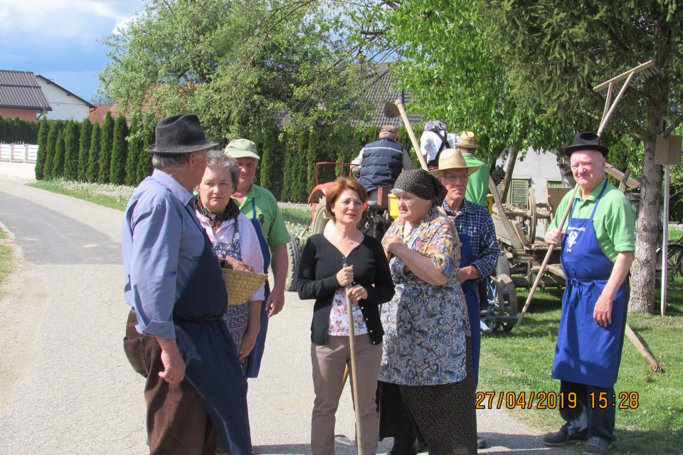 SETEV KORUZE 2019 - foto povečava