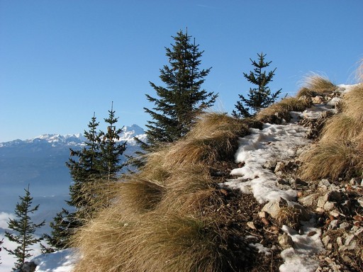 Greben Stola - foto