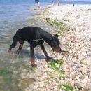 ''Bom žogico raje na obalo nesel, da jo v vodi na izgubim...''