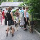 Vsem psom so se tele živali zdele zelo zanimive, čeprav sploh nevem kaj so? :-) Nemška ovč