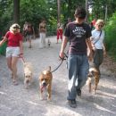 Labradorka Reja z lastnico, Staff + Grega in Faith + Urli
