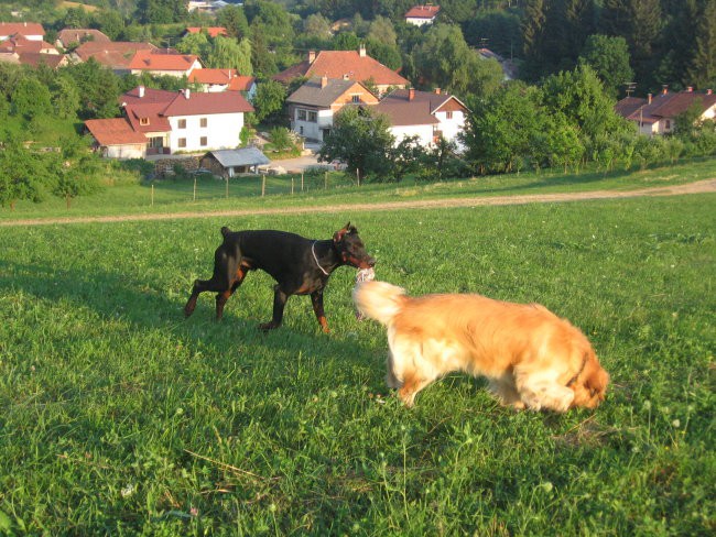 Prince in Jon na sprehodu - foto povečava