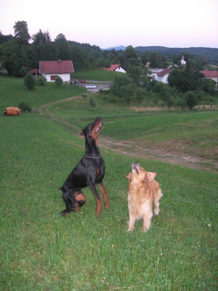 Prince in Jon na sprehodu - foto