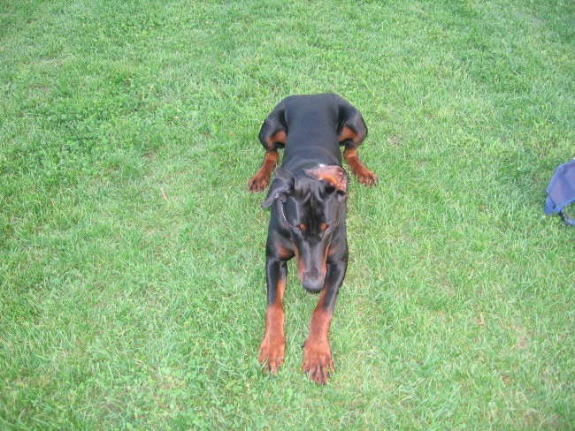 Prince in Vesna - foto povečava