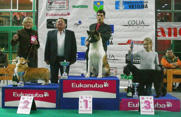 Best in Show; 3. mesto mladi