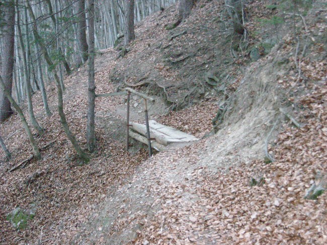 Bistriška planina-Ravne 26.2.2008 - foto povečava