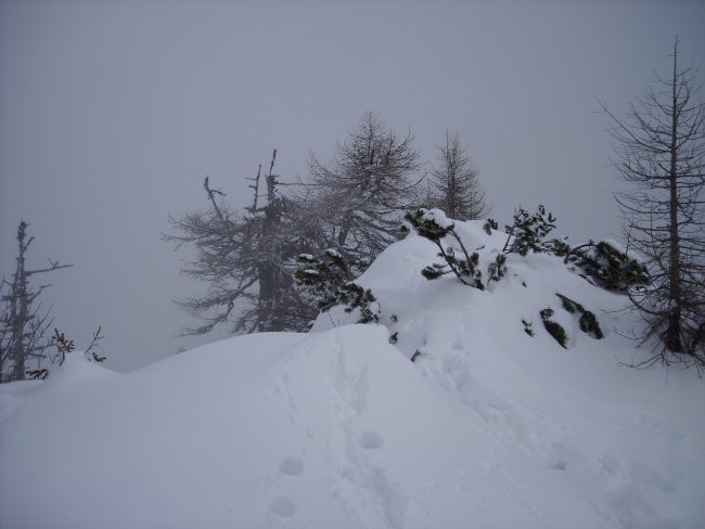 Triangel -Zelenica 2008 - foto povečava