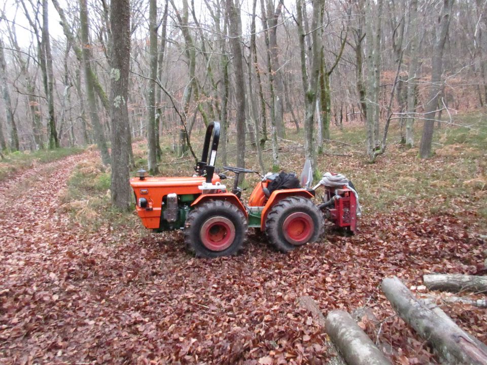 Drva - foto povečava